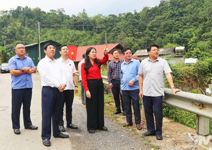 Đoàn giám sát kiểm tra thực địa.