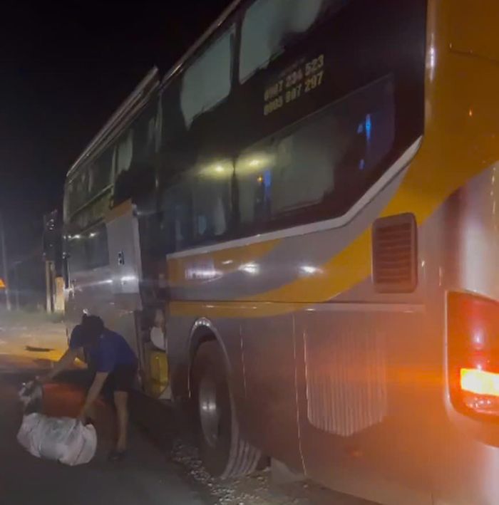 Đàn dê được đưa ra khỏi khoang hành lý xe khách.