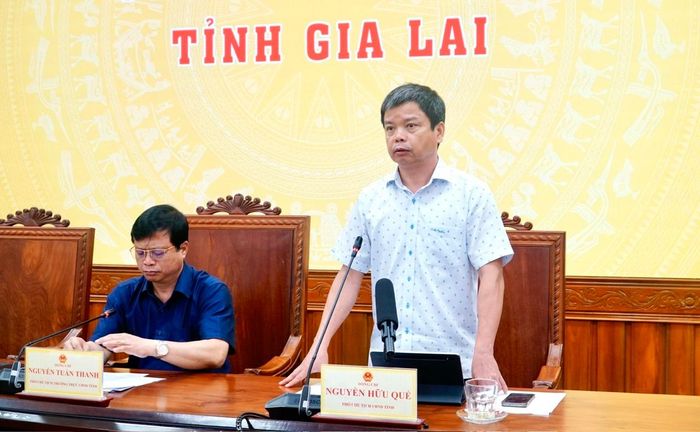  Phó chủ tịch UBND tỉnh Nguyễn Hữu Quế phát biểu. 