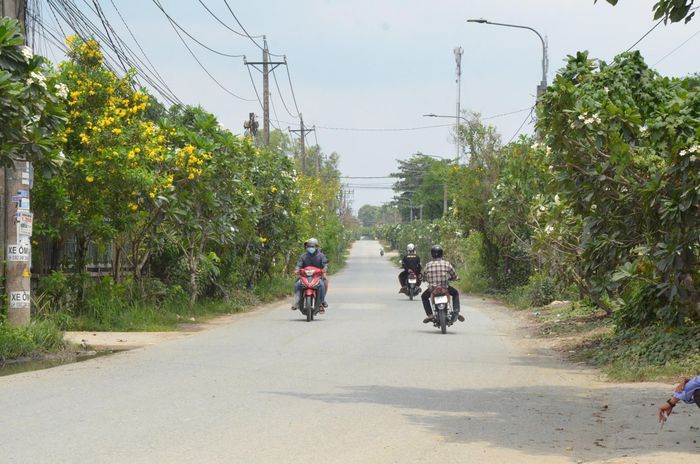 Hương lộ 6 đang được mở rộng.
