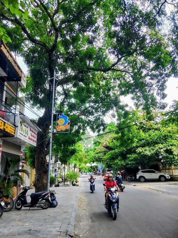 Cột điện cao áp chiếu sáng công cộng trên đường Hoà Bình, thôn Hoà Bình, xã Hà Trung (Thanh Hoá)