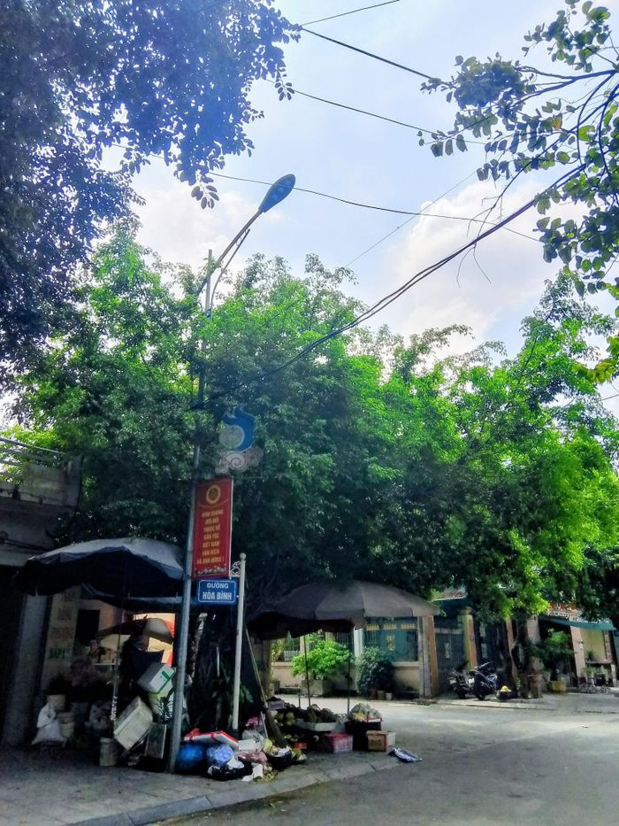 Cột điện cao áp chiếu sáng công cộng trên đường Hoà Bình, thôn Hoà Bình, xã Hà Trung, Thanh Hoá