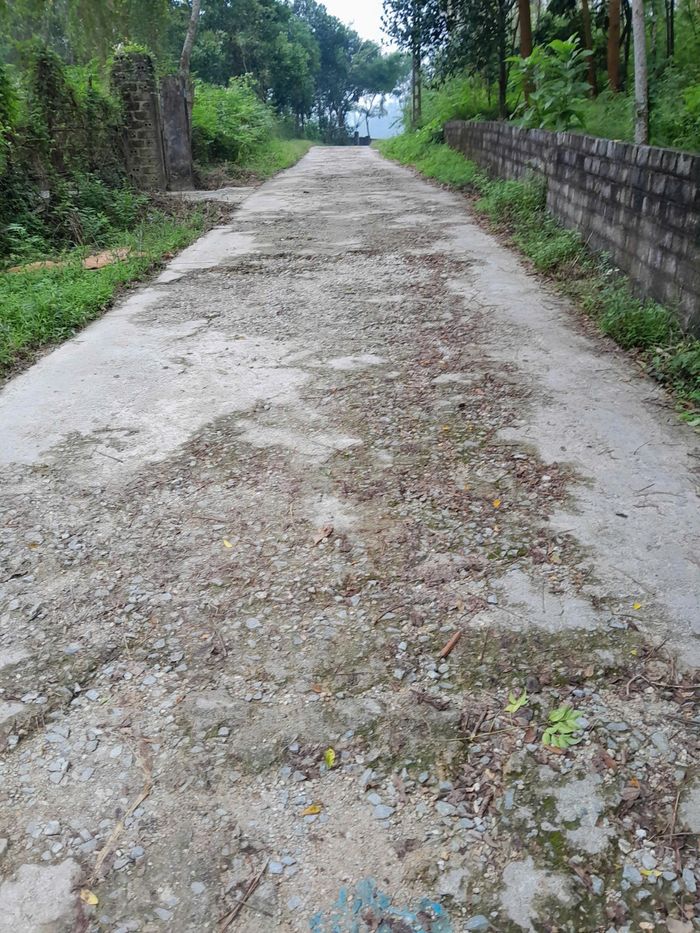 Đoạn đường chính trong thôn bị bong tróc, xuống cấp nghiêm trọng. ↵