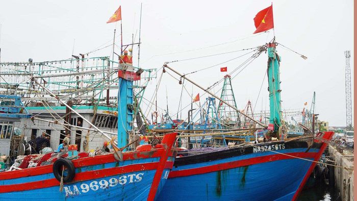  Đến tháng 8/2026, toàn tỉnh Quảng Trị còn 80 tàu cá không đủ điều kiện hoạt động và 43 tàu thuộc danh sách nguy cơ cao vi phạm. 