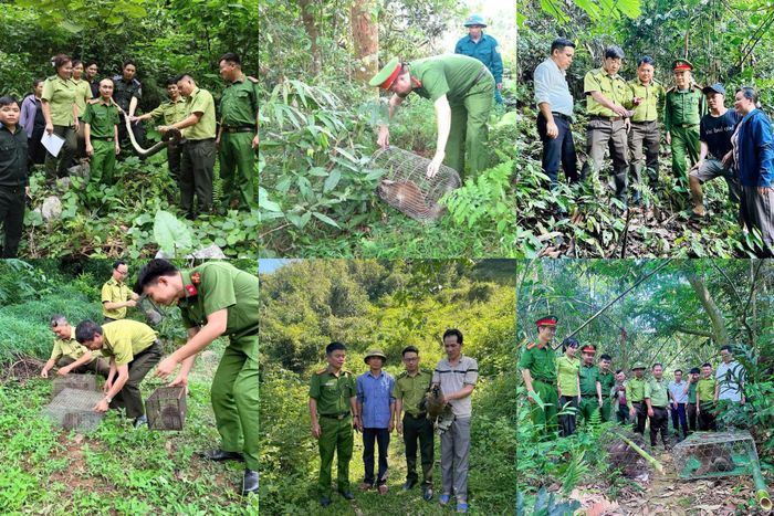 Thời gian qua, lực lượng Công an toàn tỉnh đã phối hợp thả nhiều động vật hoang dã về môi trường tự nhiên.