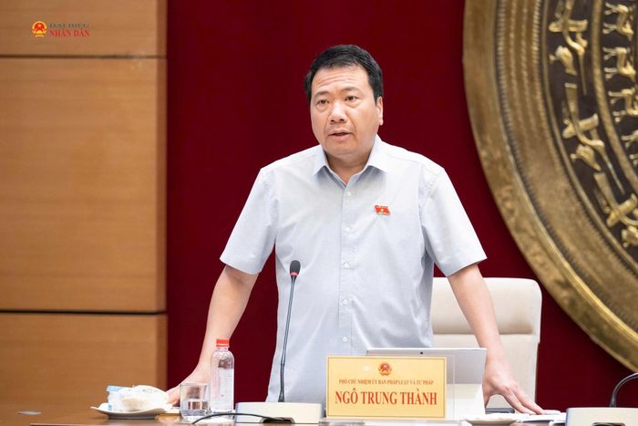 Phó Chủ nhiệm Ủy ban Pháp luật và Tư pháp Ngô Trung Thành phát biểu tại phiên họp