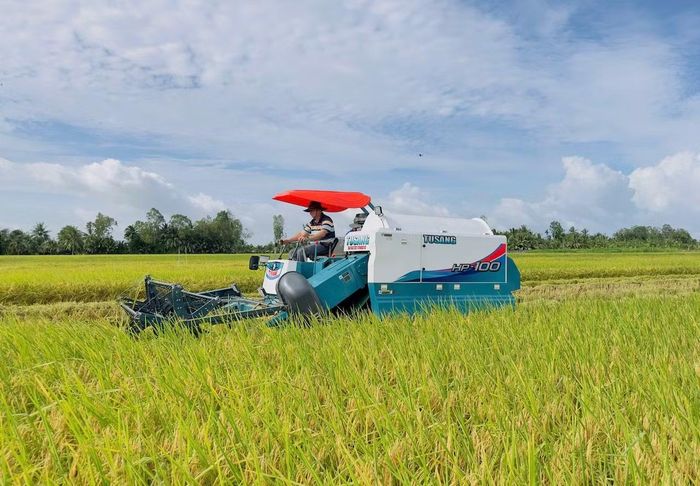 Các tỉnh, thành vùng ĐBSCL đẩy mạnh ứng dụng giống mới, canh tác chính xác, tự động hóa, quản lý nước, giảm phát thải.
