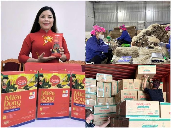 Miến dong Tài Hoan xuất khẩu sang nhiều thị trường quốc tế.