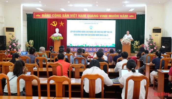Các học viên tham gia lớp bồi dưỡng nâng cao năng lực cho các hợp tác xã.