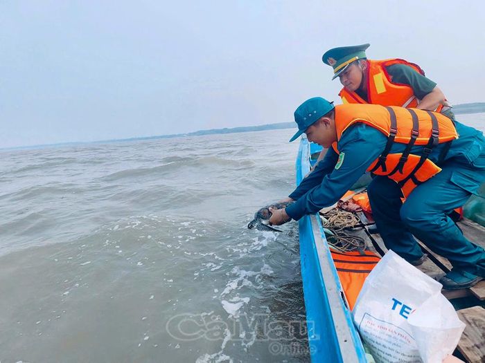 Các lực lượng thả cá thể vích về biển.