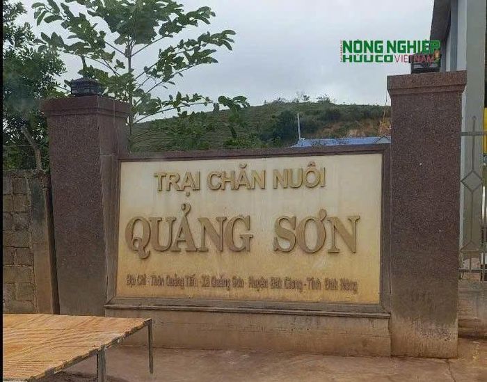 Trại chăn nuôi của Công ty TNHH Chăn nuôi Quảng Sơn tại xã Quảng Sơn, tỉnh Lâm Đồng