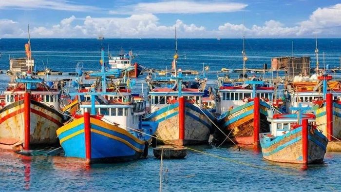 Tàu cá neo đậu tại Đặc khu Phú Quý, nơi tăng cường kiểm soát hoạt động cập, rời, bốc dỡ và truy xuất nguồn gốc thủy sản