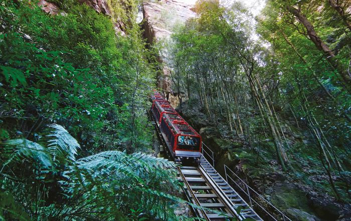 Cận cảnh Scenic Railway, tuyến tàu có độ dốc kỷ lục đưa du khách khám phá lòng thung lũng Blue Mountains.