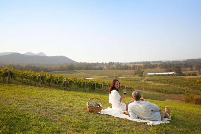 Dã ngoại giữa cảnh quan đồng nội là một trải nghiệm thú vị tại Hunter Valley.