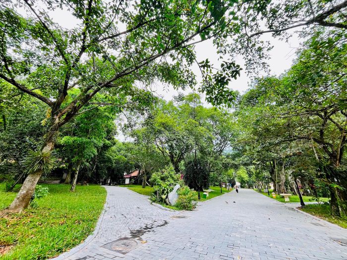 UBND xã Sóc Sơn phấn đấu hoàn thành toàn bộ các hạng mục thuộc Dự án Khu bảo tồn thuộc khu vực IV khu du lịch - văn hóa Sóc Sơn trong tháng 11-2026