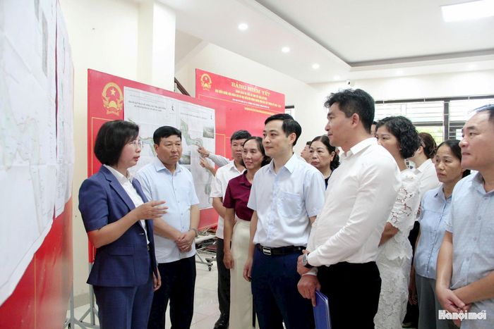 Đoàn công tác khảo sát tại phường Phú Thượng. Ảnh: Lê Dung.