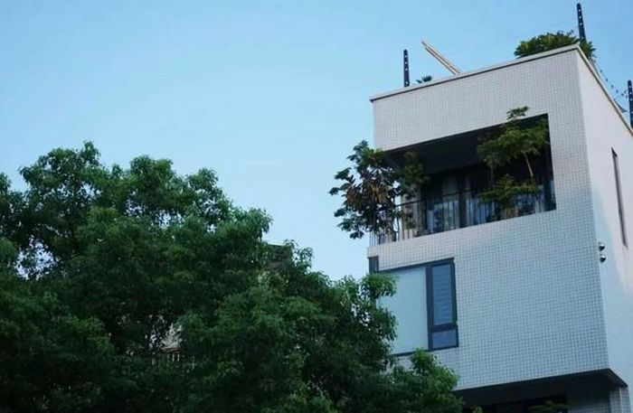 Giờ đây, thay vì ngắm những tòa nhà chọc trời qua khung cửa sổ, cô thích nhìn cây xanh và khung cảnh yên bình của vùng quê.