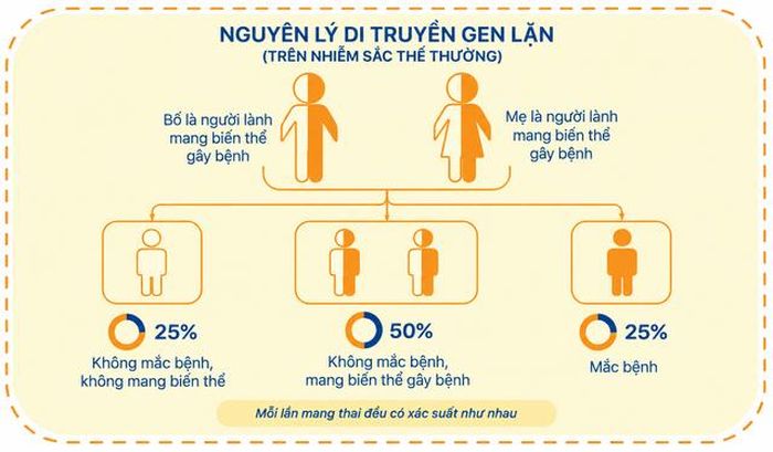 Nguyên lý di truyền gen lặn.