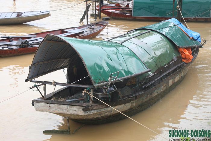Cách khu tái định cư còn 60 lô đất trống khoảng 1,5km, 13 hộ vạn chài vẫn lênh đênh trên sông Lam, mong có chỗ lên bờ. Ảnh Song Hoàng