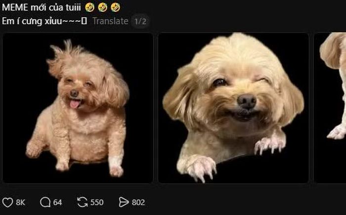 Vnet thiết kế bộ meme cá nhân từ hình Sữa nhận hơn 8K lượt thả tim sau 1 ngày đăng tải trên Threads.