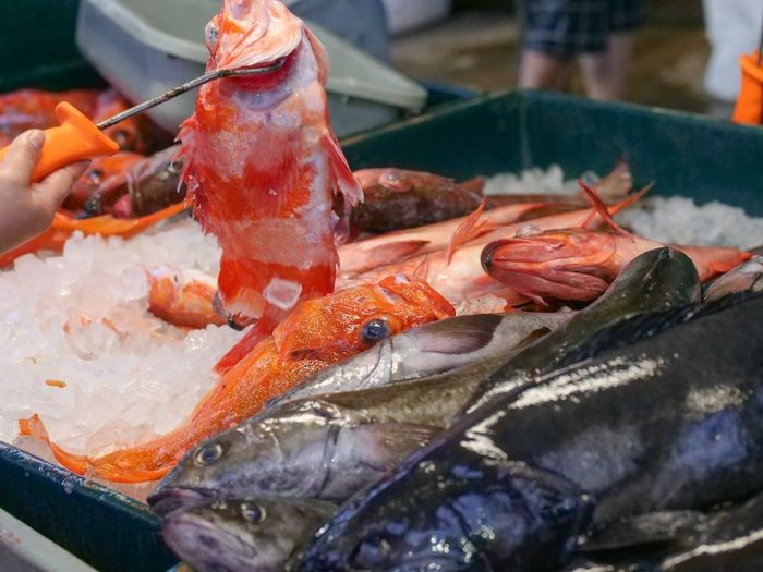  Khi chọn cá, nên quan sát mắt, mang, da và độ đàn hồi của thịt để nhận biết cá còn tươi, hạn chế nguy cơ nhiễm khuẩn.