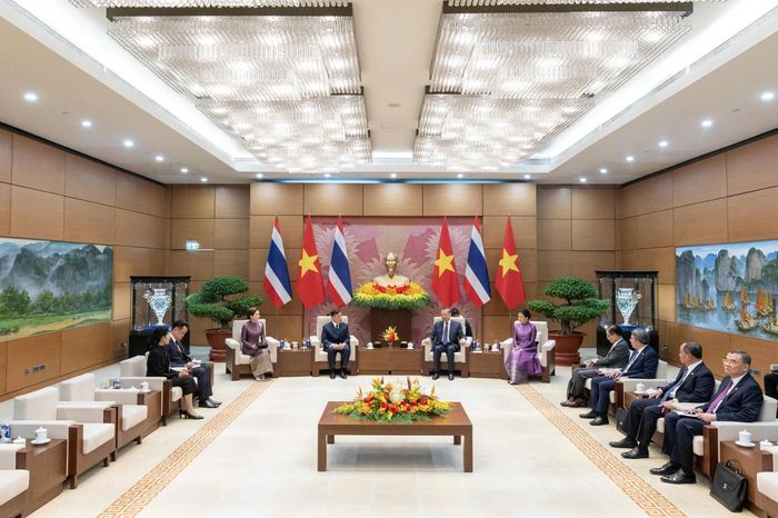 Hai nhà lãnh đạo dẫn đầu đoàn đại biểu cấp cao tiến hành hội đàm. Việt Nam và Thái Lan là hai quốc gia Đông Nam Á có quan hệ hữu nghị lâu đời. Kể từ khi chính thức thiết lập quan hệ ngoại giao năm 1976, hợp tác song phương không ngừng mở rộng cả về quy mô lẫn chiều sâu.