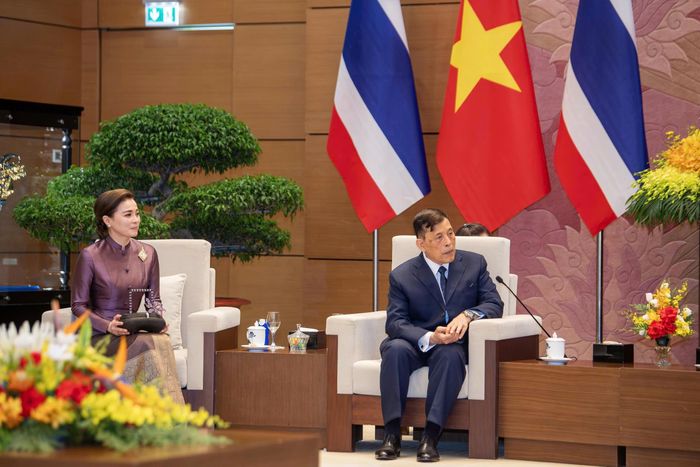  Năm 2025, tổng kim ngạch thương mại hai chiều đạt 22,1 tỉ USD. Trong 7 tháng đầu năm 2026, tổng kim ngạch thương mại hai chiều đạt hơn 15,03 tỉ USD. Vốn đầu tư của Thái Lan tập trung chủ yếu vào công nghiệp chế biến, chế tạo; sản xuất và phân phối điện, khí, nước, điều hòa; cùng các lĩnh vực bất động sản, bán buôn và bán lẻ. 