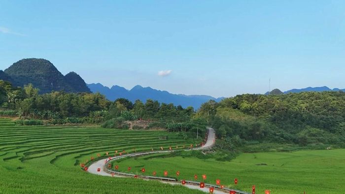 Con đường hình chữ S uốn lượn giữa những thửa ruộng bậc thang ở Pù Luông, gợi bước chân khám phá