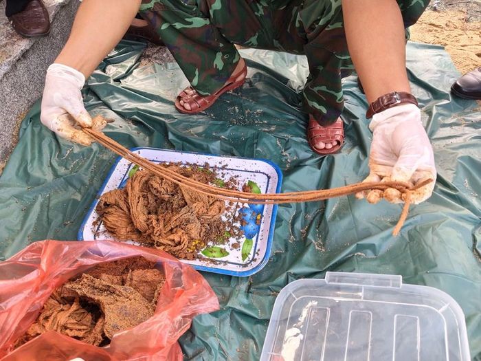 Dây dù và vải võng tìm thấy trong mộ tập thể