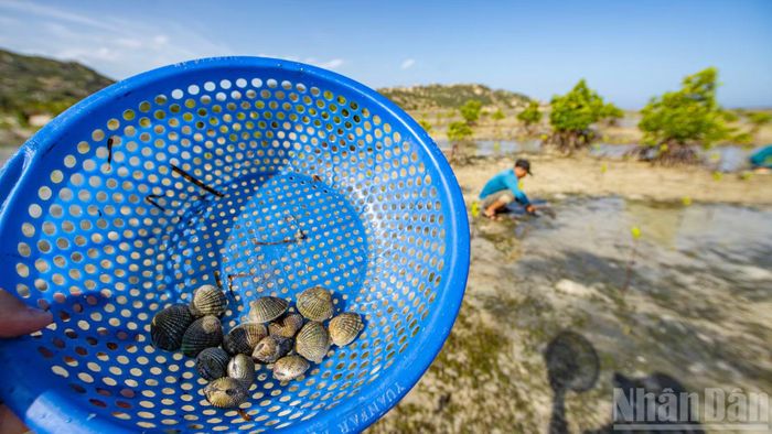 Điểm sáng của "mô hình sinh thái kép" chính là sự thay đổi nhận thức của cộng đồng dân cư khu vực.