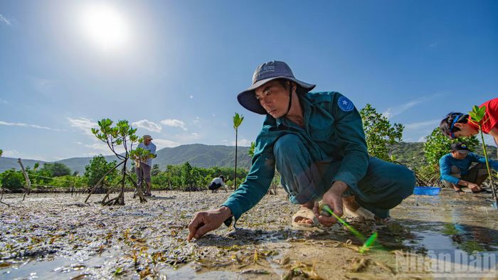 Nhờ mô hình kết hợp hoàn hảo này, chúng đã phục hồi và phát triển rất tốt.