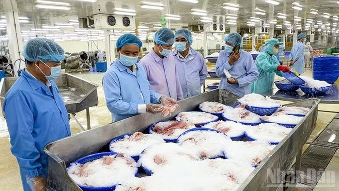 Đoàn công tác đến khảo sát quy trình chế biến cá tra xuất khẩu của Công ty cổ phần thủy sản Lộc Kim Chi. (Ảnh: BÁ DŨNG)