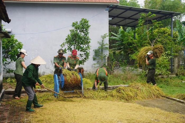 Công đoạn tuốt lúa.