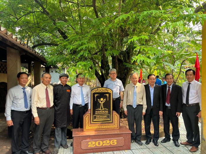  Cây Khế được công nhận Cây di sản Việt Nam. Ảnh: HUY HOÀNG 