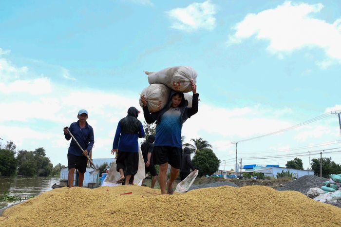  Thử sức vác một lần 2 bao lúa 