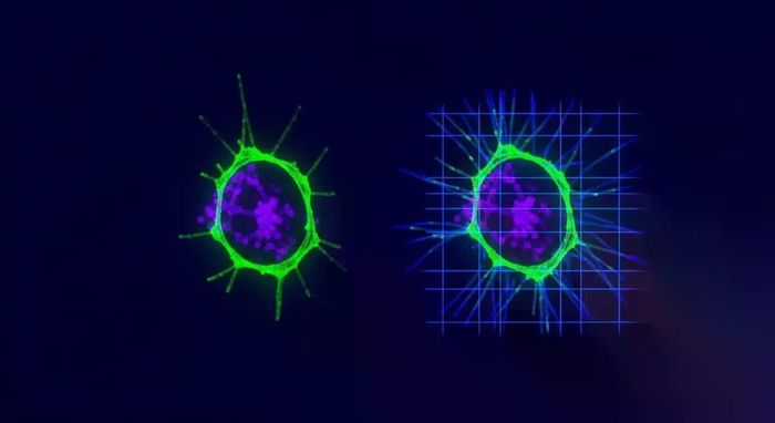 Mỗi electron đi qua mẫu vật mang theo nhiều thông tin hơn các công nghệ hiện tại có thể thu nhận được.