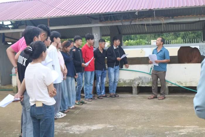 Sinh viên ngành Chăn nuôi – Thú y, Khoa Nông Lâm được giảng viên hướng dẫn đi thực tế tại trại chăn nuôi bò.