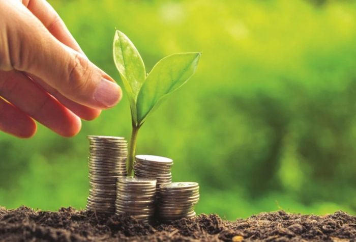 Hà Nội nghiên cứu cơ chế phân chia lợi ích từ tín chỉ carbon. (Ảnh minh họa)