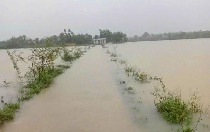 Nhiều diện tích lúa, hoa màu bị ngập sâu trong nước