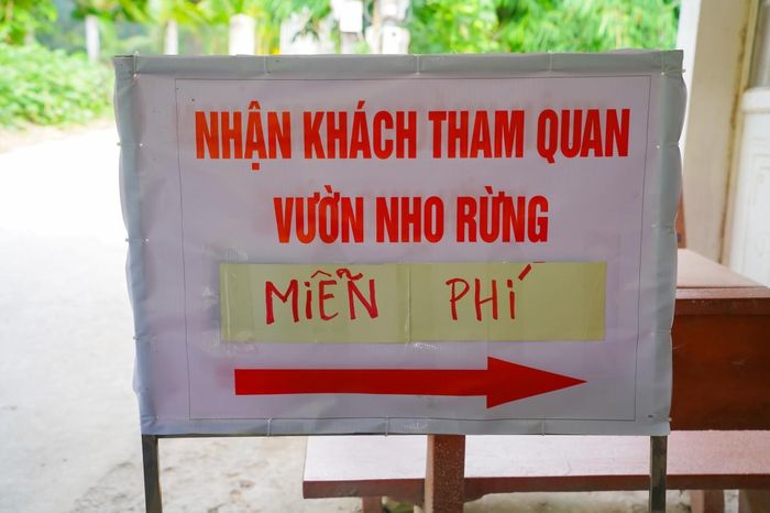 Anh Hùng mở cửa, đón khách đến tham quan vườn, trải nghiệm mật nho rừng miễn phí mỗi ngày. Ảnh: Dương Việt Anh