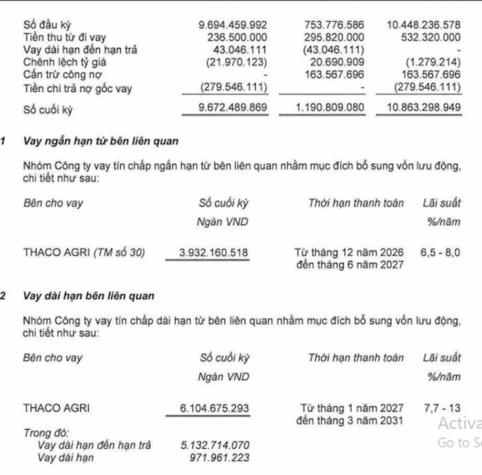 HNG vay Thagrico 10.000 tỷ đồng.