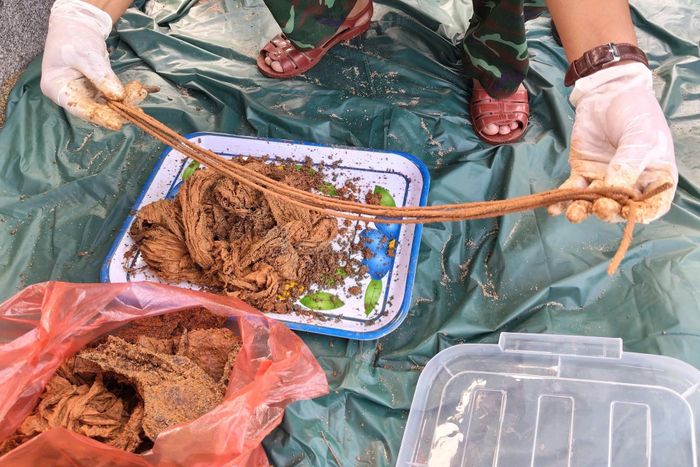 Dây dù, vải võng cùng một số di vật được phát hiện trong ngôi mộ tập thể. Ảnh: Quang Cường