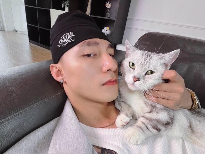 Ca sĩ Sơn Tùng M-TP chơi với mèo.