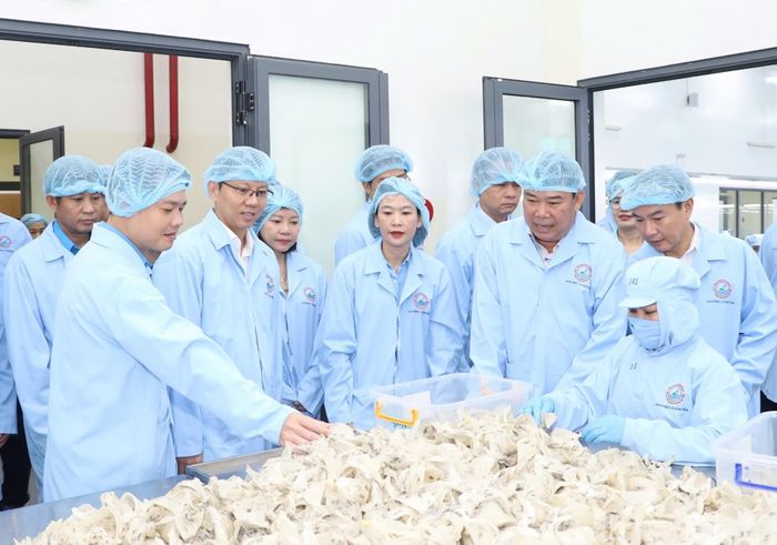 Ông Nguyễn Thanh Hà và lãnh đạo các sở, ngành thăm nhà máy sản xuất của Công ty Cổ phần Nước giải khát Yến sào Khánh Hòa.