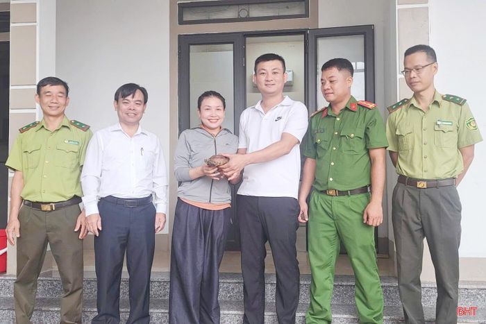 Chị Biện Thị Nhung bàn giao rùa quý cho các lực lượng chức năng để thả về môi trường tự nhiên.