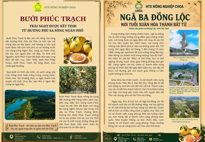 Mẫu thiết kế phác thảo giới thiệu sản phẩm, quảng bá văn hóa quê hương trong chương trình "Mỗi sản phẩm một câu chuyện" do Hội LHPN tỉnh xây dựng.