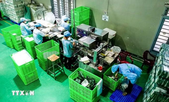 Công ty Trách nhiệm hữu hạn Tân Nhiên ứng dụng thiết bị hiện đại vào quy trình sản xuất bánh tráng, nâng cao chất lượng sản phẩm. (Ảnh: Giang Phương/TTXVN)