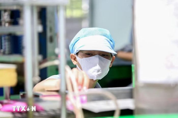 Ứng dụng công nghệ vào sản xuất bánh tráng giúp doanh nghiệp Tây Ninh kiểm soát tốt hơn chất lượng và quy trình sản xuất. (Ảnh: Giang Phương/TTXVN)