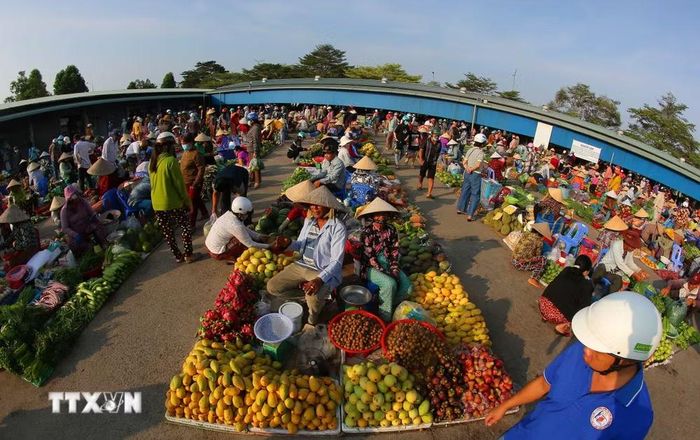 Toàn cảnh khu chợ. (Ảnh: Duy Khương/TTXVN)