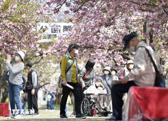 Người cao tuổi tại Osaka, Nhật Bản. (Ảnh: Kyodo/TTXVN)